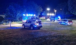 Ein Großaufgebot war Sonntagabend an der Traisen im Einsatz.