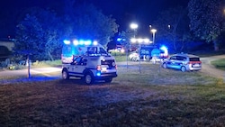 Ein Großaufgebot war Sonntagabend an der Traisen im Einsatz.