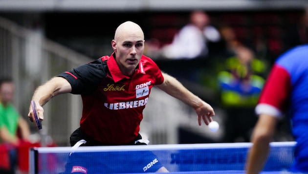 Daniel Habesohn