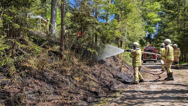 In Thiersee/Landl kam es Sonntag zu einem Waldbrand.