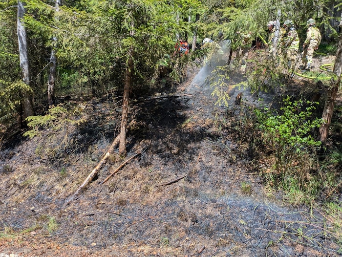 Die Feuerwehren konnten durch das rasche Einschreiten Schlimmeres verhindern.
