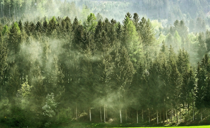 Da kann man schon an einen Waldbrand denken. An Föhntagen steigen die Staubwolken sehr ...