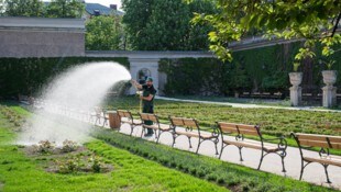 Wasser marsch: 26 Rosensorten wollen schließlich gepflegt werden.