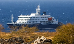 Nach dem Hantavirus-Ausbruch auf einem Kreuzfahrtschiff sitzen die 88 Passagierinnen und ...
