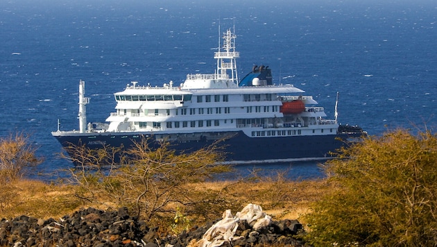 Nach dem Hantavirus-Ausbruch auf einem Kreuzfahrtschiff sitzen die 88 Passagierinnen und ...