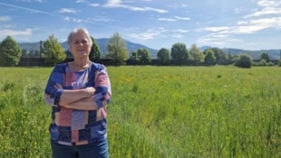 Diese Grünfläche ist der Stein des Anstoßes. Anrainerin Hildegard Simetzberger: „Hier passen ...