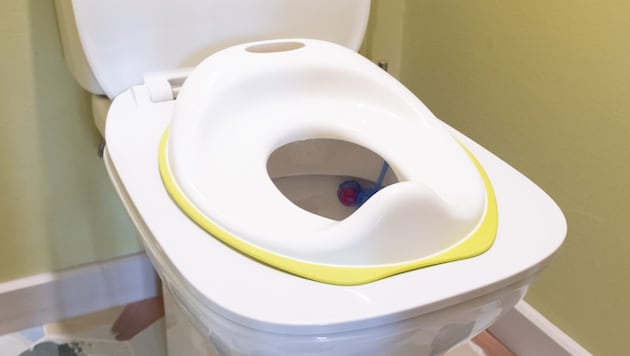 In einem solchen Toilettensitz ist ein kleines Mädchen in Deutschland stecken geblieben.