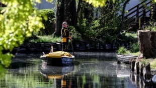 Zwei Drittel der befragten Österreicherinnen und Österreicher unterstützen Klima- und ...