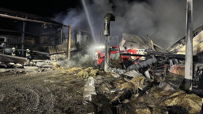 Zwei Hallen wurden ein Raub der Flammen.