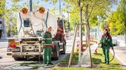 Wiener Stadtgärten bewässern junge Bäume intensiv