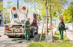 Wiener Stadtgärten bewässern junge Bäume intensiv