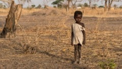 Im Sudan herrscht aktuell eine dramatische Hungersnot.