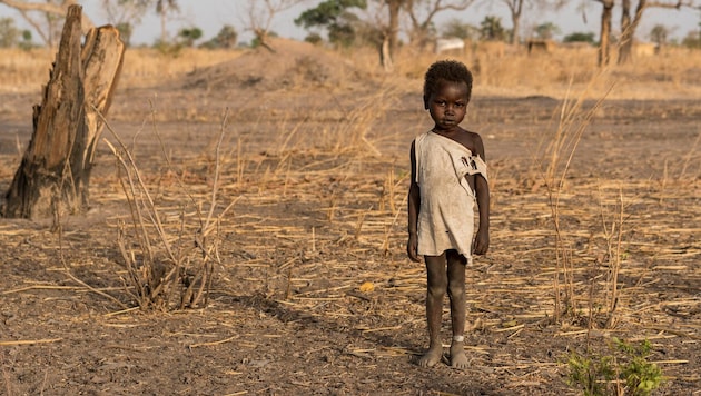 Im Sudan herrscht aktuell eine dramatische Hungersnot.