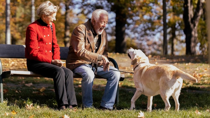 Gemeinsam statt einsam: Hunde und generell Haustiere bringen Struktur und Freude in den Alltag.