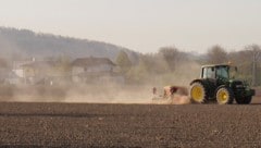 Vor allem die Landwirtschaft leidet unter den Folgen der Hitzewelle.