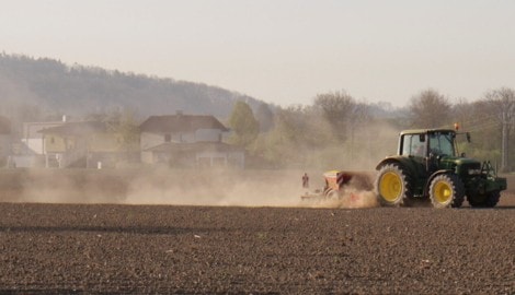 Vor allem die Landwirtschaft leidet unter den Folgen der Hitzewelle.