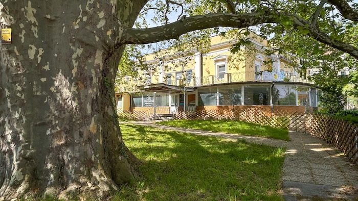 Der kleine, lauschige Park mit der unter Naturschutz stehenden Platane ist bereits für die ...