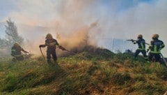 Täglich stehen hunderte Feuerwehrleute im Einsatz.