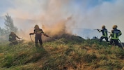Täglich stehen hunderte Feuerwehrleute im Einsatz.