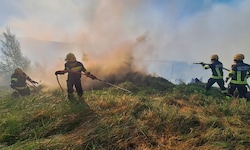 Täglich stehen hunderte Feuerwehrleute im Einsatz.