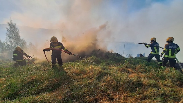 Täglich stehen hunderte Feuerwehrleute im Einsatz.