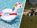 Die Dürre hat auch Aschach a.d. Steyr im Griff: Die Felder sind staubtrocken, während der ...