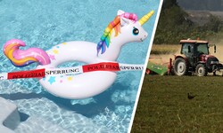 Die Dürre hat auch Aschach a.d. Steyr im Griff: Die Felder sind staubtrocken, während der ...
