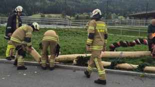 Die Floriani mussten den Baum fachgerecht umsägen ...