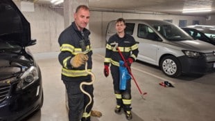 Bergung mit bloßen Händen: Zimperlich waren die Einsatzkräfte endeutig nicht.