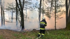 In Fürstenfeld brannten 3000 Quadratmeter Wald.