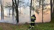 In Fürstenfeld brannten 3000 Quadratmeter Wald.