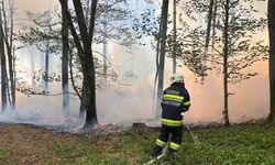 In Fürstenfeld brannten 3000 Quadratmeter Wald.