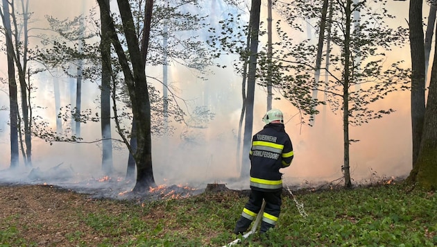 In Fürstenfeld brannten 3000 Quadratmeter Wald.