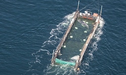 Die Anwaltskanzlei äußerte sich im Namen von Reederei und der Crew des Schleppers.
