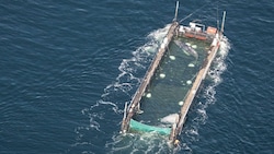 Die Anwaltskanzlei äußerte sich im Namen von Reederei und der Crew des Schleppers.