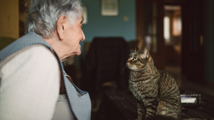 Hund und Katze sind weit mehr als Haustiere. Sie sind Familie und oft die einzigen treuen ...