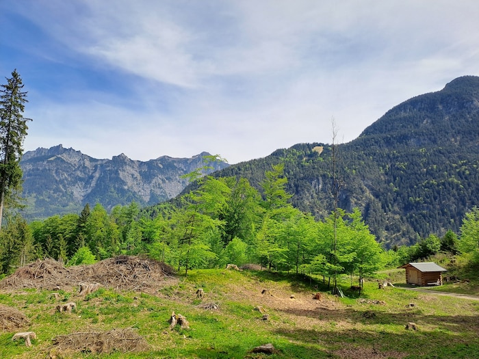 Plateau am Lorünserberg.