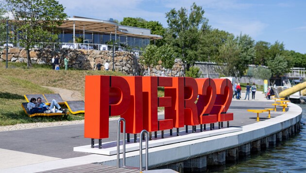 Die zwei Nachtschwärmer wollten sich während der Hitzewelle am Pier 22 auf der Wiener Donauinsel ...