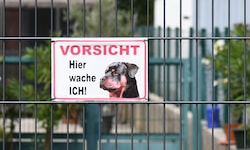 Die Wachhunde stellten den Eindringling – wenig später klickten die Handschellen. (Symbolbild)