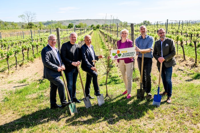 Die Rieden werden nun noch grüner werden.