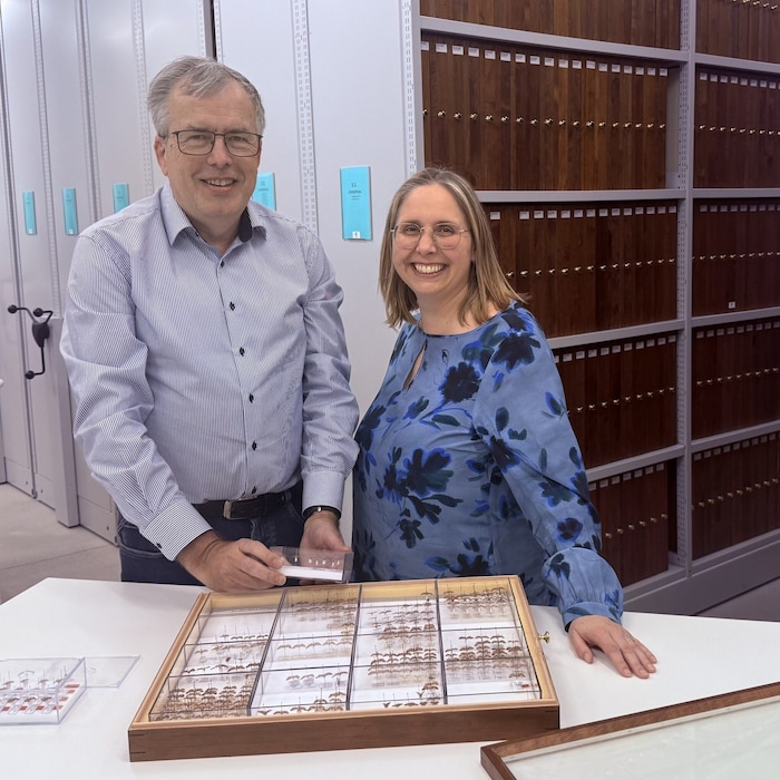 Peter Huemer, ehemaliger Leiter der Naturwissenschaftlichen Sammlung der Tiroler Landesmuseen, ...