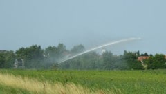 In Oberösterreich werden etwa 2000 Hektar der insgesamt 290.000 Hektar Ackerfläche beregnet. ...