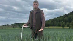 Bei Bauer Josef Eschenauer in St. Veit wächst das Getreide aufgrund der anhaltenden Trockenheit ...