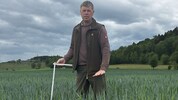 Bei Bauer Josef Eschenauer in St. Veit wächst das Getreide aufgrund der anhaltenden Trockenheit ...
