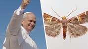 Ob sich das Oberhaupt der katholischen Kirche über seinen neuen Namensvetter freut?