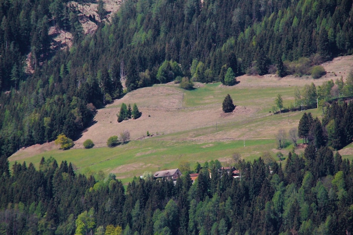 Braune Wiesen: Besonders in höher gelegenen Gebieten herrscht Trockenheit. Die Folge sind ...