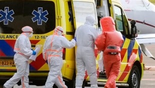 Weltweit ist die Sorge wegen der Verbreitung des Hantavirus groß – auch, wenn noch keine große ...