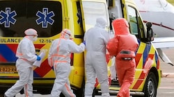Weltweit ist die Sorge wegen der Verbreitung des Hantavirus groß – auch, wenn noch keine große ...