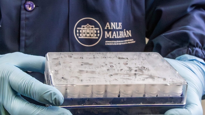 Die argentinischen Behörden untersuchen den Ursprung des Virus.
