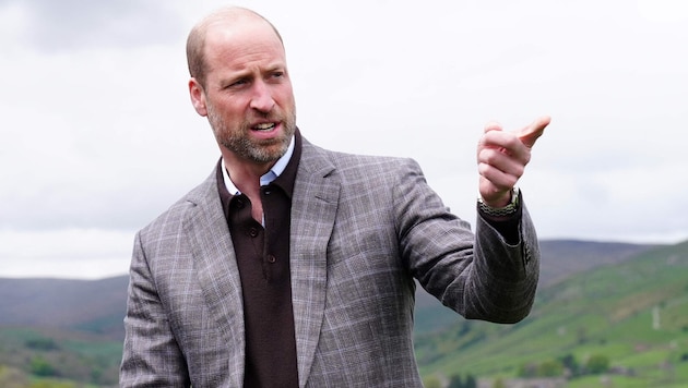 Britische Zeitungen enthüllten, ob überhaupt und wie viel Einkommenssteuer Prinz William ...